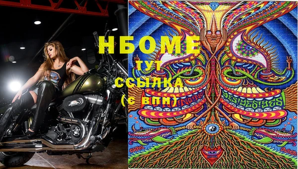 молекула духа Алексин