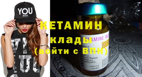 прущие грибы Новодвинск