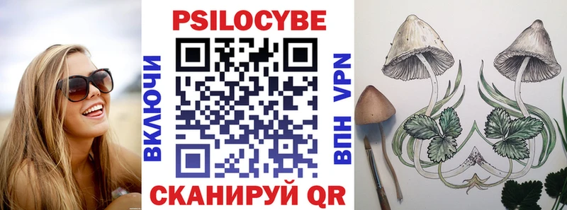 Псилоцибиновые грибы Cubensis  где купить наркоту  Феодосия 