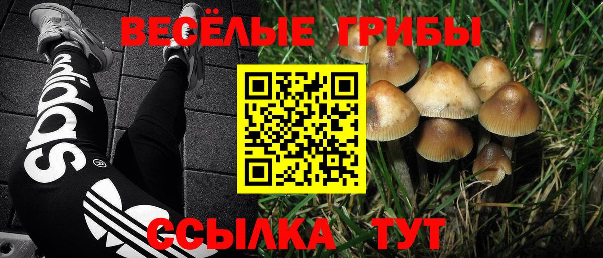 Феодосия  продажа наркотиков  Вход с VPN  Галлюциногенные грибы прущие грибы 