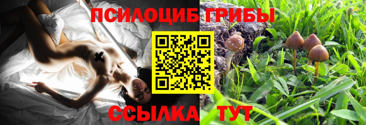 Псилоцибиновые грибы Cubensis Феодосия